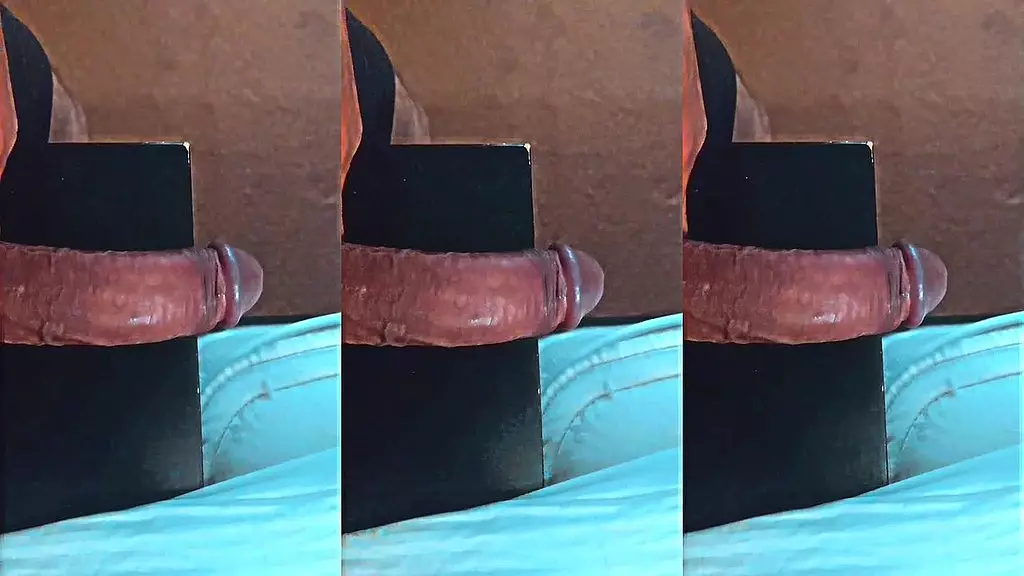 ezsosa - обновление № 2 - 1000005520 - 13 апреля 2024 г