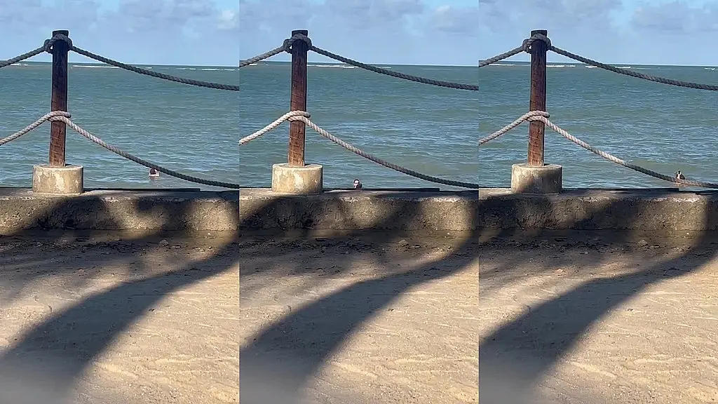 alineflavio - update #29 - vid_20240511_102608_350.mp4_1 - may 11, 2024