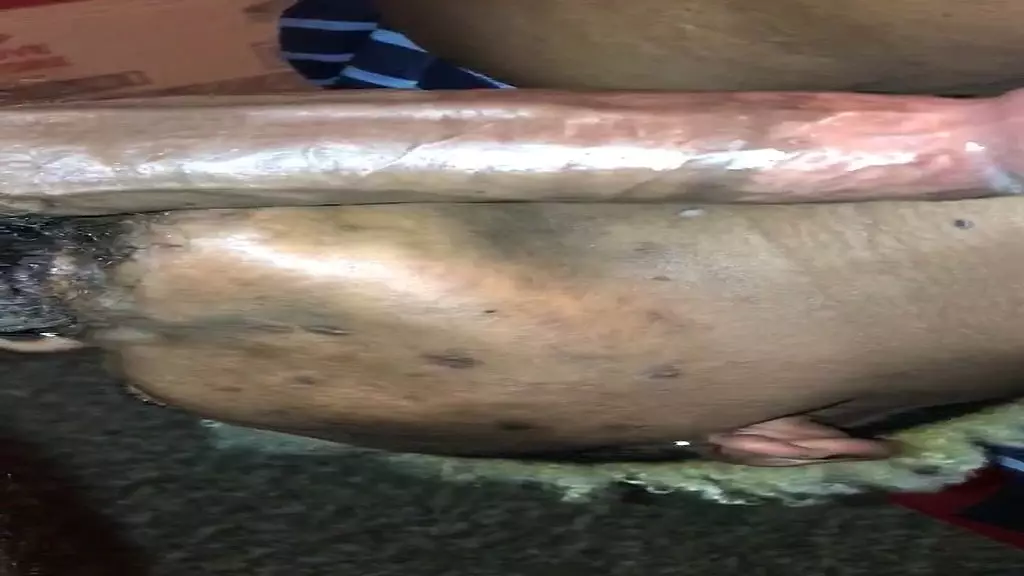 засунь этот член мне в глотку “ за эксклюзивные клипы перейдите на “of”.com/coclicka