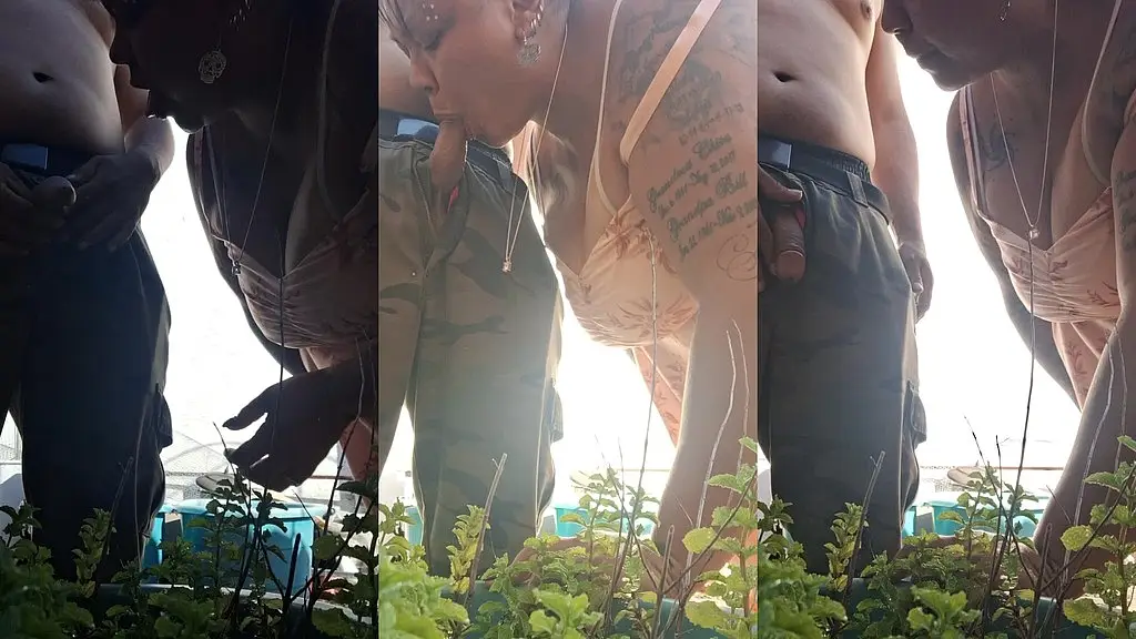 bigsexywifey - update #2 - 1000002484 - jun 13, 2024