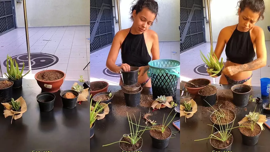 повседневная жизнь красотки