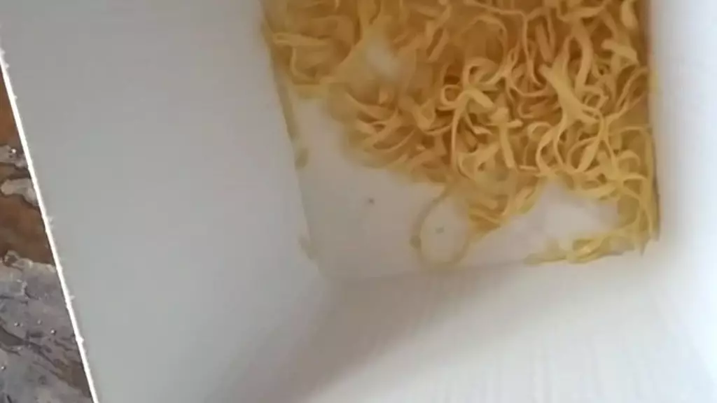 noodles