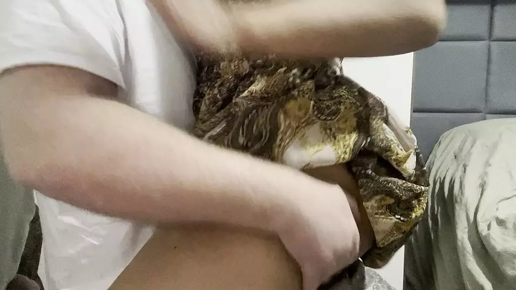 Quando vi ele de pau duro nem Tirei o Vestido ja fui sendando no pau dele