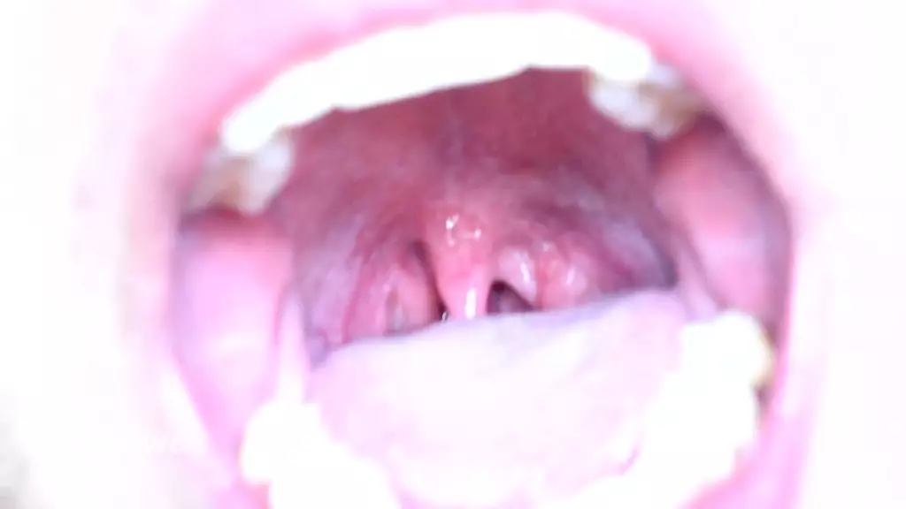 языковой фетиш