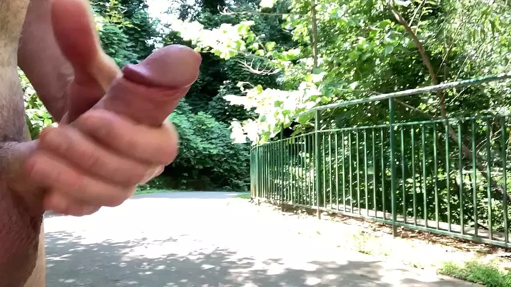 красивый парк