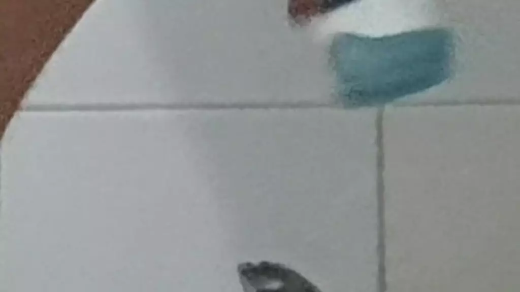 batruki3755 - обновление № 39 - 1000113620 - 21 октября 2024 г