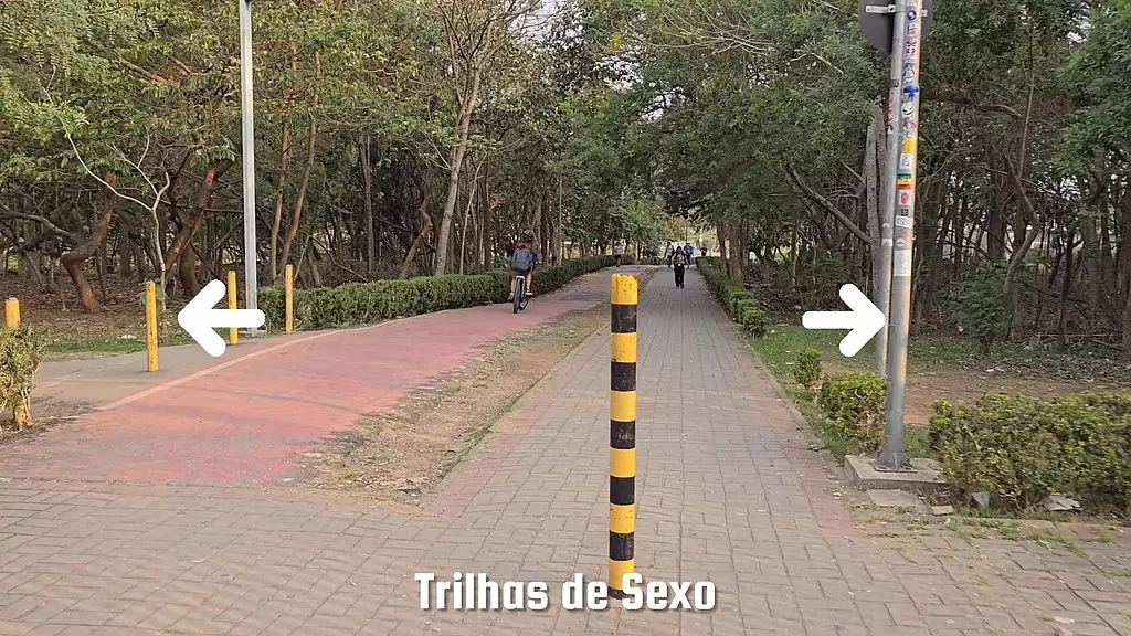 meu cu sofre muito quando vou nessas trihas de sexo