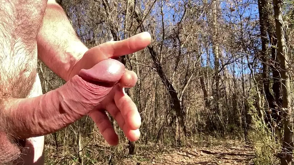 вниз по реке