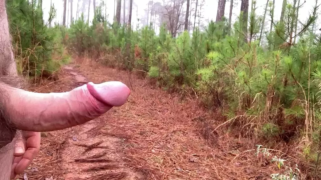 сливочный член на тропе в теплый зимний день