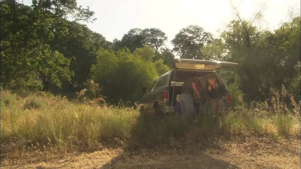 lauren phoenix всегда хотела, чтобы ее отвезли на поляну в лесу и трахнули