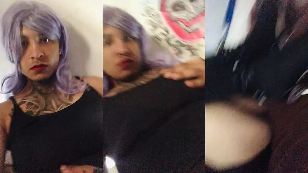 Шулатра - новый транс-шмель, которому нравится эль-член