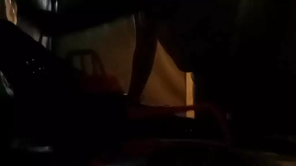 Веселье на заднем дворе