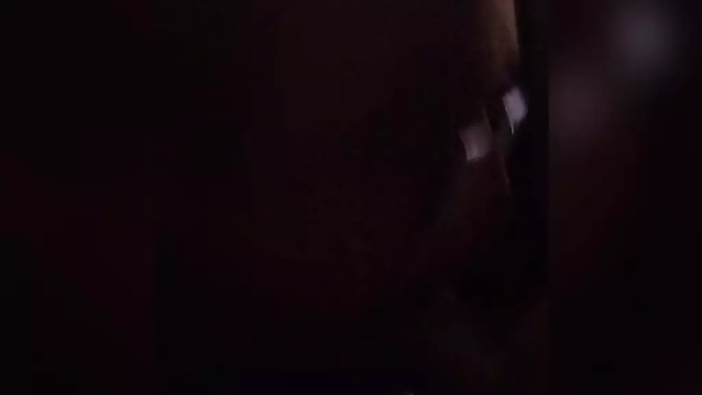 мама и дандо для моря