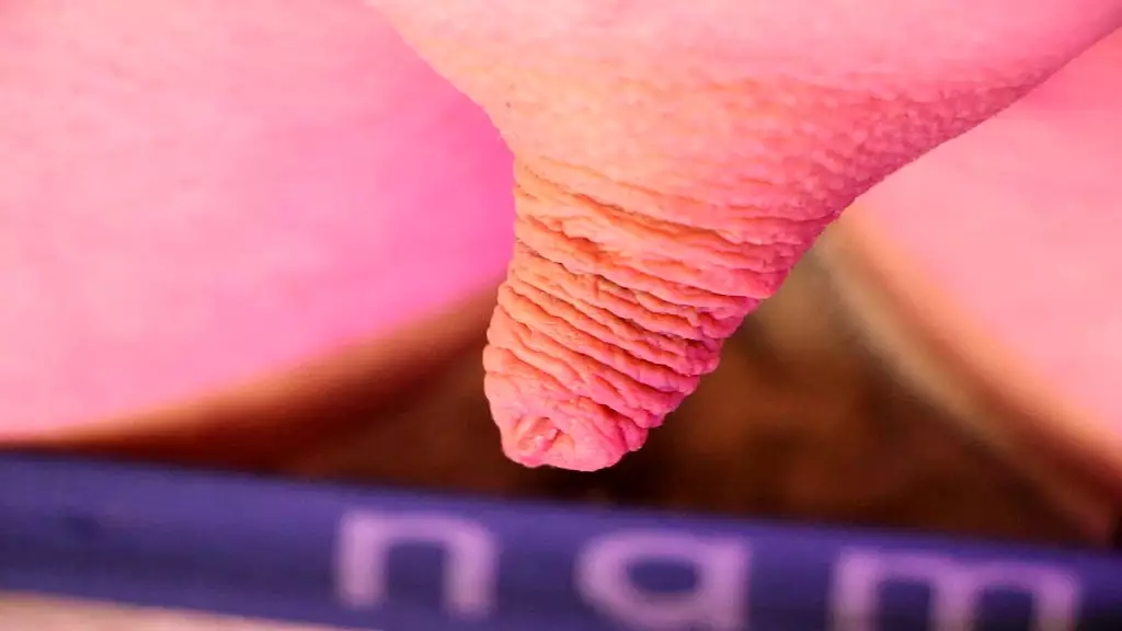 neostinydick - специальный выпуск микропениса 2 [2024]