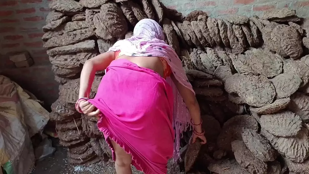 Desi Village Sex Bhabhi Ki Chudai