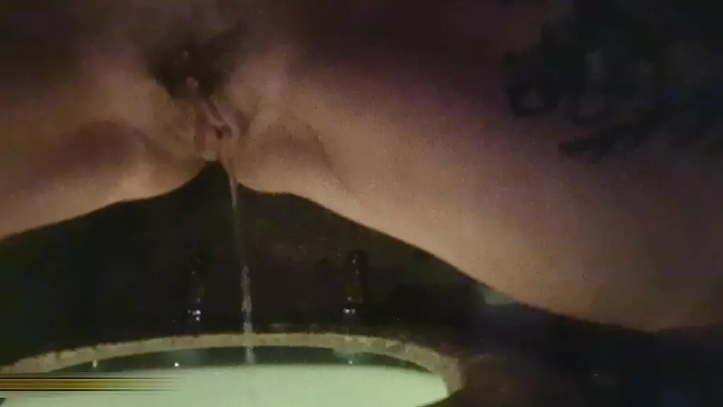 Мокрая островная пума №1