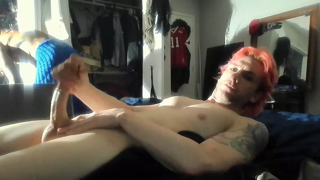 dcunning - обновление № 8 - win_20241220_06_34_22_pro - 27 дек. 2024 г