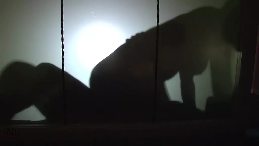 силуэтное развлечение Люси Клэр и mr_mobydick