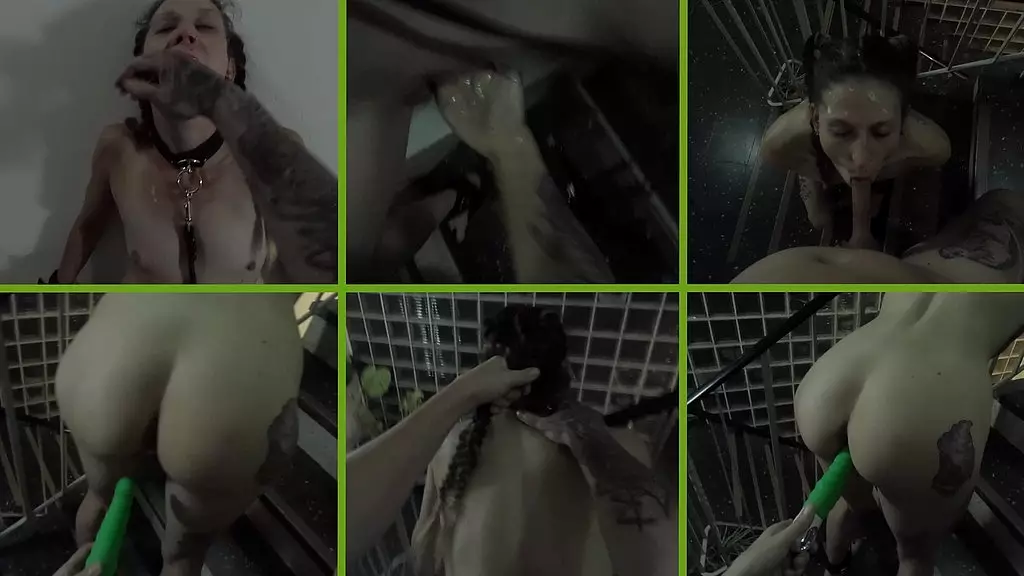 я дом дер естерн бенут и ебут дабей быстро erwischt worden