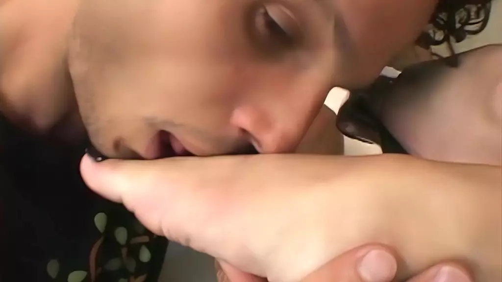 янтарный дикий принимает сразу четыре