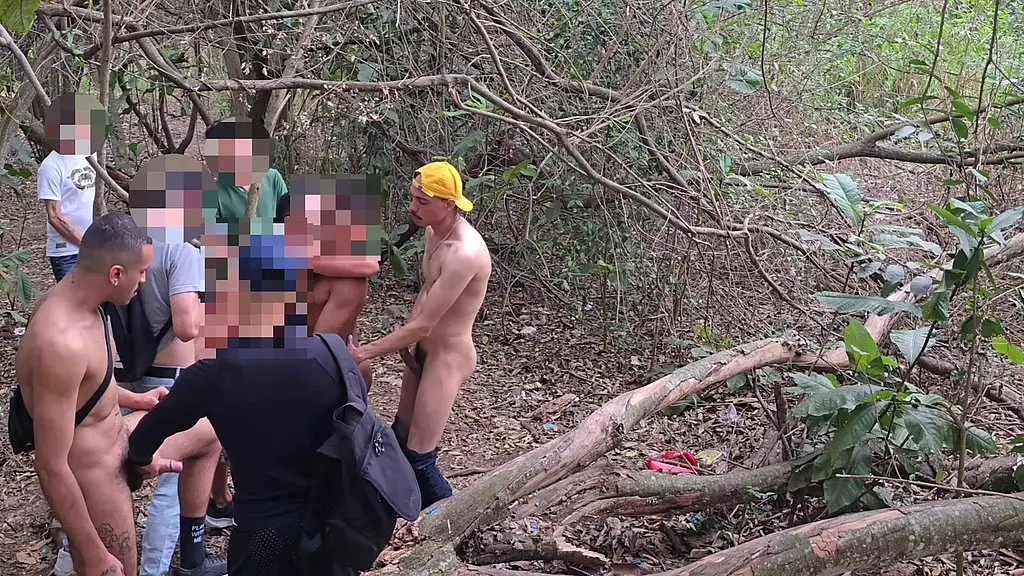 Сурубао нет парка 20 домов