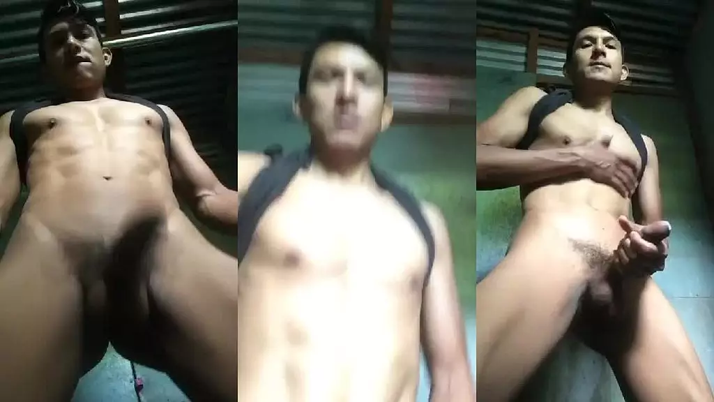 andylatin - обновление № 41 - получено_1139332597034032 - 14 января 2025 г