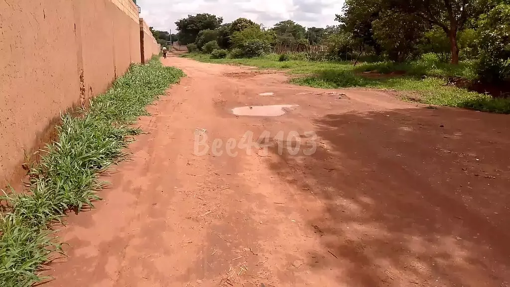 bee4403 - прогулялась и в итоге отсосала незнакомцу