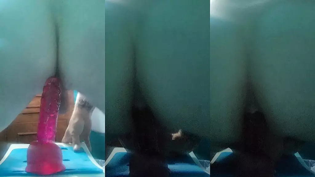 Нил скачет на большом фиолетовом дилдо