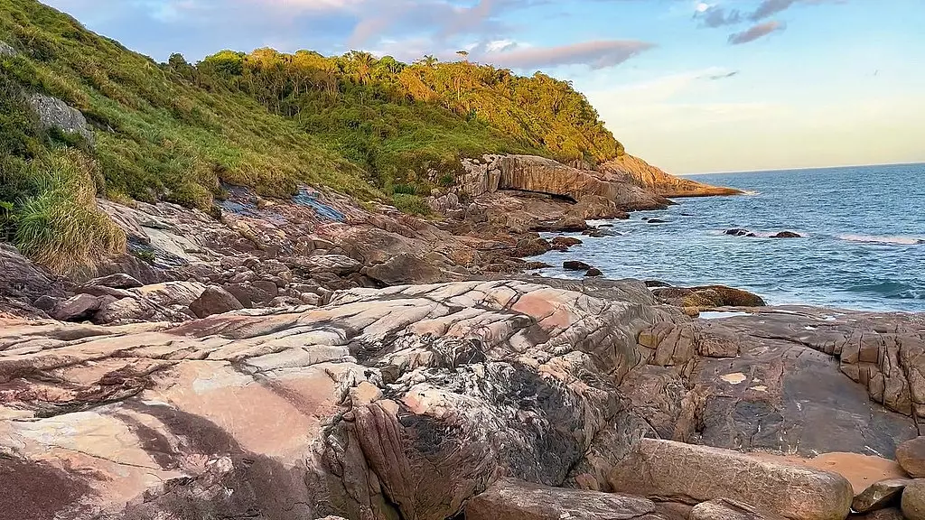 orgia bareback na plaia de nudismo com grande urso