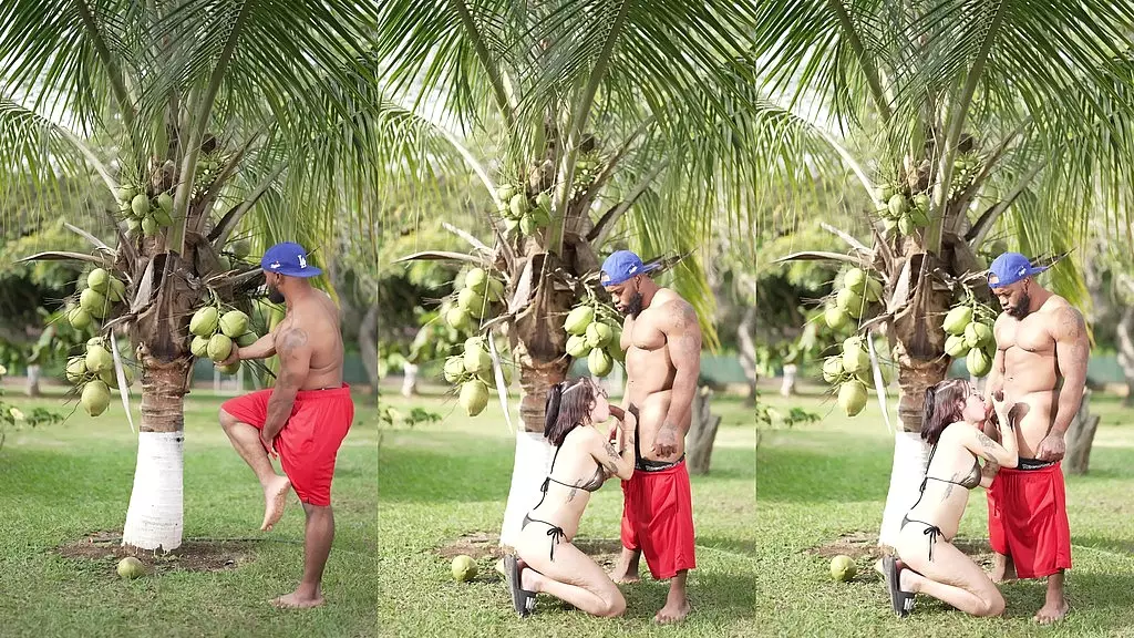 пойман с поличным — Эмма Гаррис