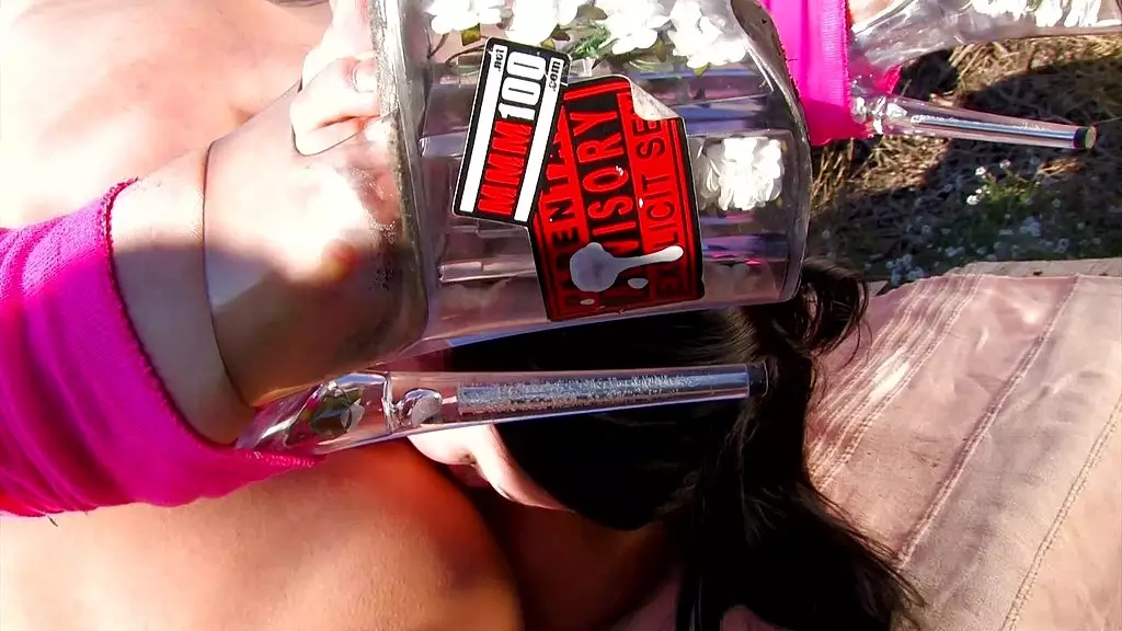 Дженни Ноэль нужна помощь в уборке большого дома этого парня, поэтому она просит Лию Лексус помочь ей