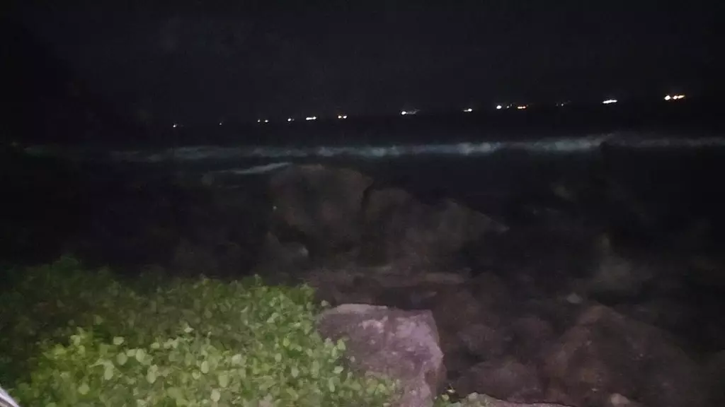 ночью она отдыхает у окна