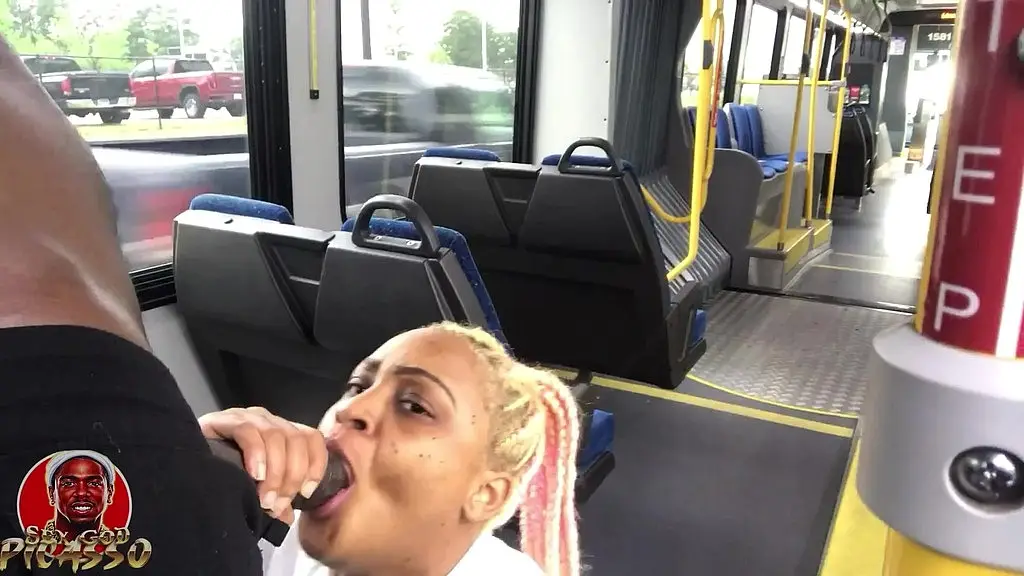 theelastpicasso & mshoneyroseatl public bus dick sucker