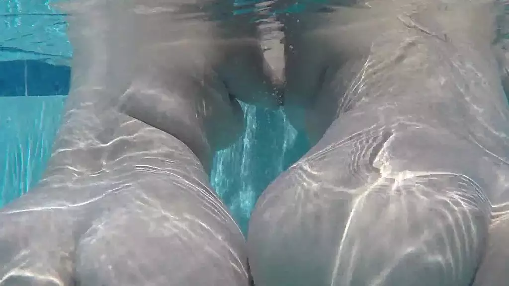 Джулз Готти сходит с ума с Валентиной Драгоценности во время жаркого летнего секса втроем