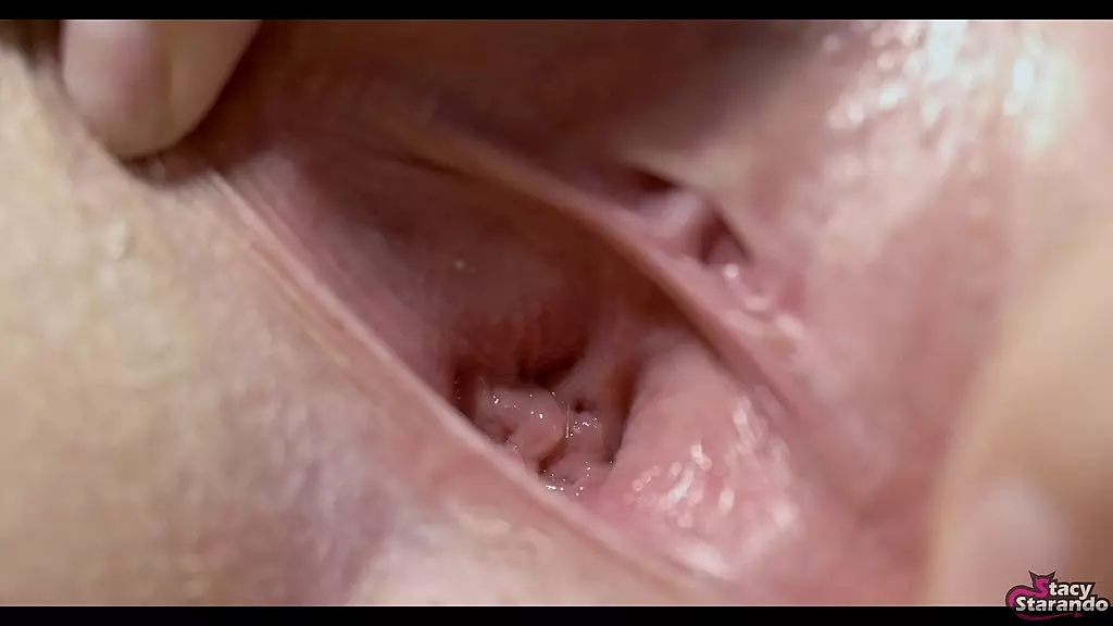 крутое и четкое видео в формате супер крупного плана задницы и киски. - 8k макро