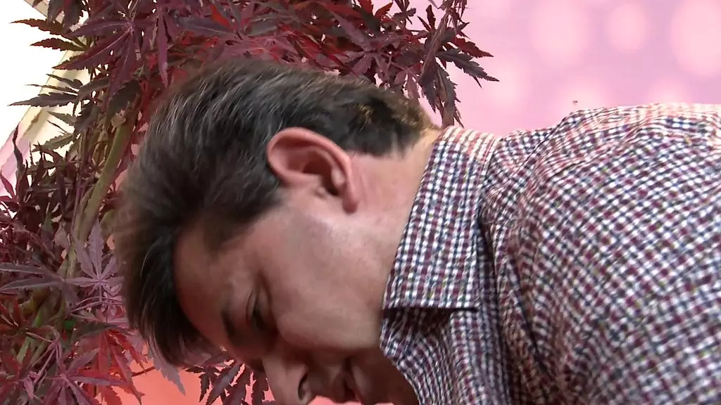 лу шармелл учит анальному сексу