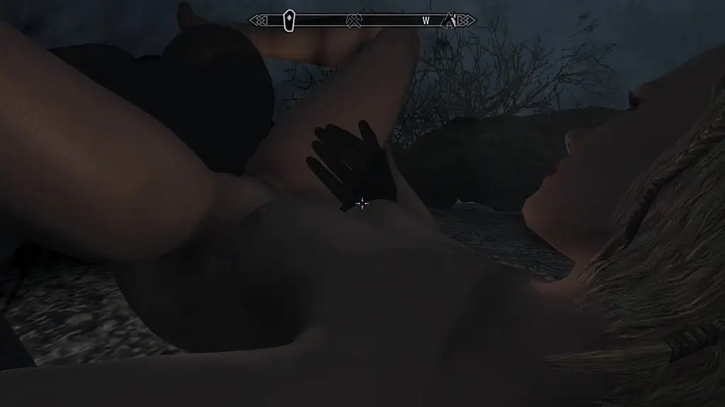 skyrim - didn t expect this to happen and now my shadow is fucking maxy