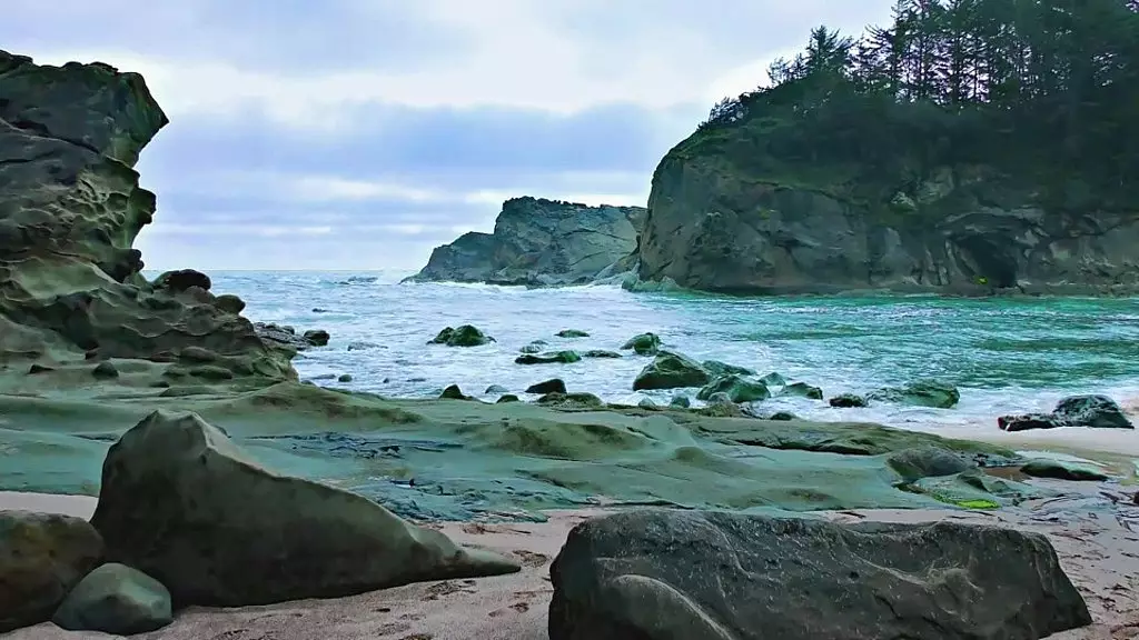 тест 2 суббрендов Oli