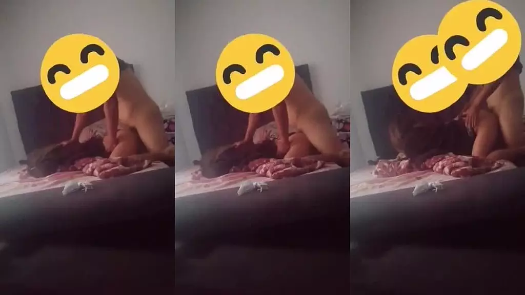 я хочу посмотреть аниме и терминальное оборудование