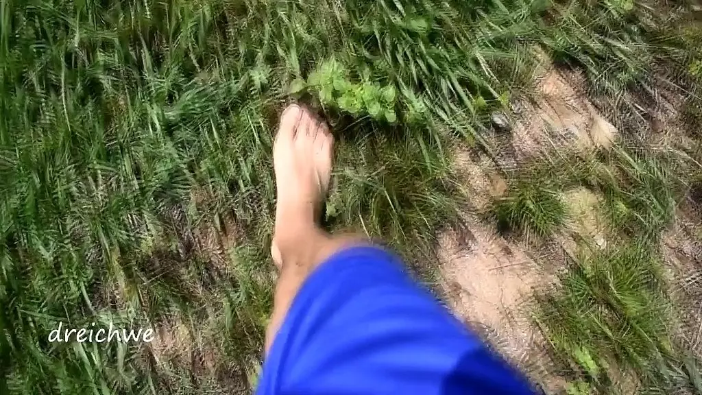 feeding plants and flowers of the field