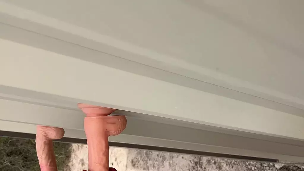 virrey4572 - обновление № 4 - img_0304 - 24 марта 2025 г