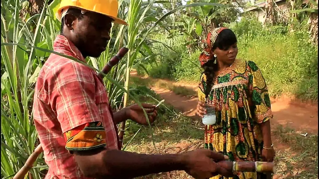 в поле со сборщиком пальмового вина, который находит меня, дефрише на поле, и мы в итоге целуемся на месте