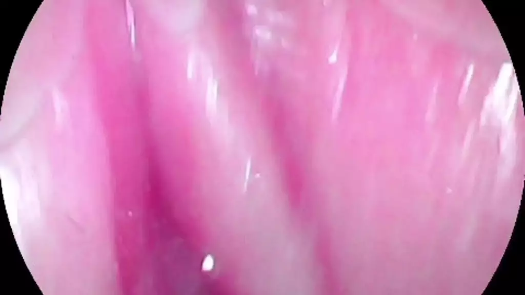 камера внутри моей сливочной сочной киски