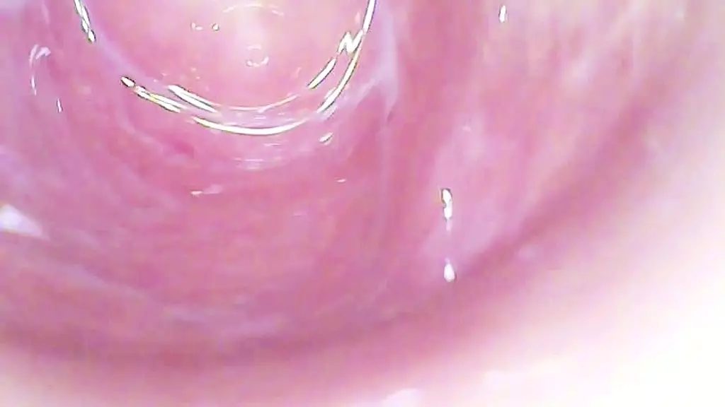 sexyhornygirl6969 - обновление № 48 - img_5328 - 04 апр. 2025 г