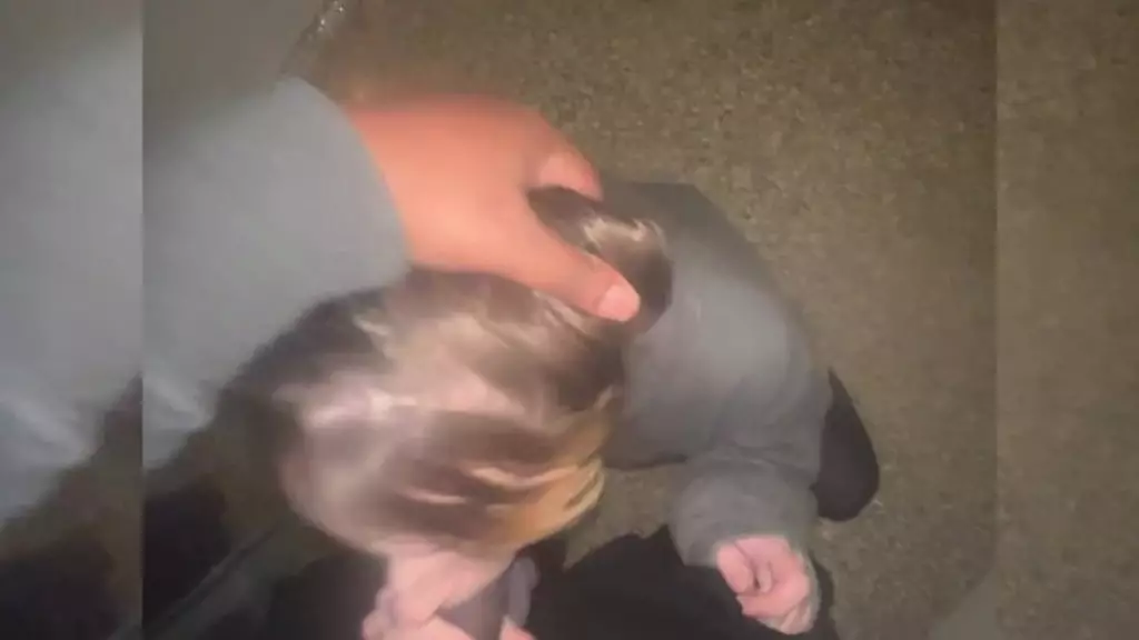 хроники рогоносца, часть 1