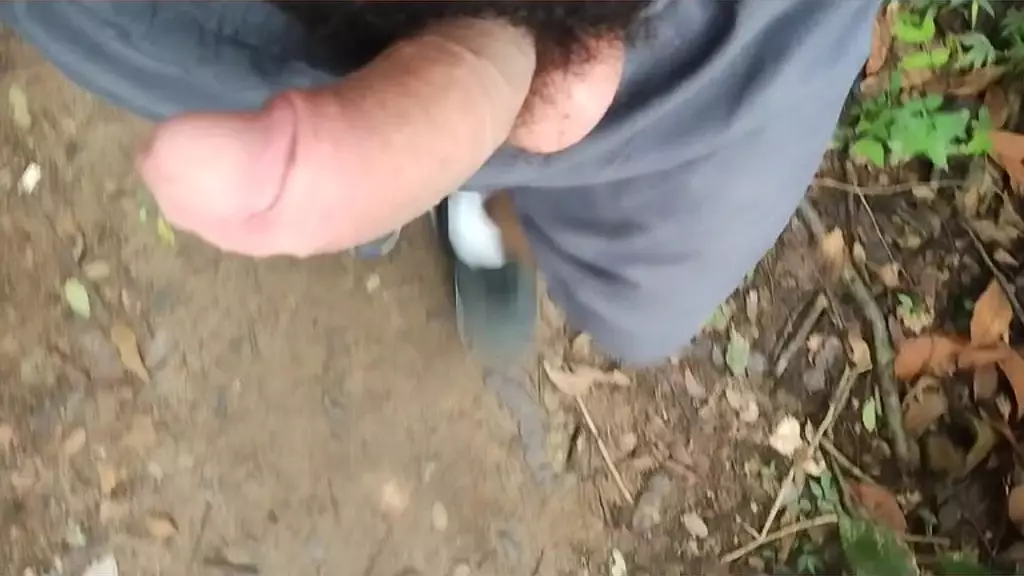 я эксибиндо но мато