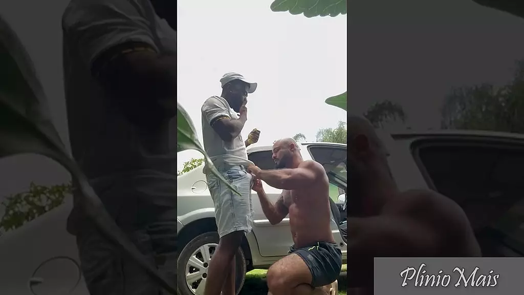 моя любимая киска для бала, я люблю тебя!