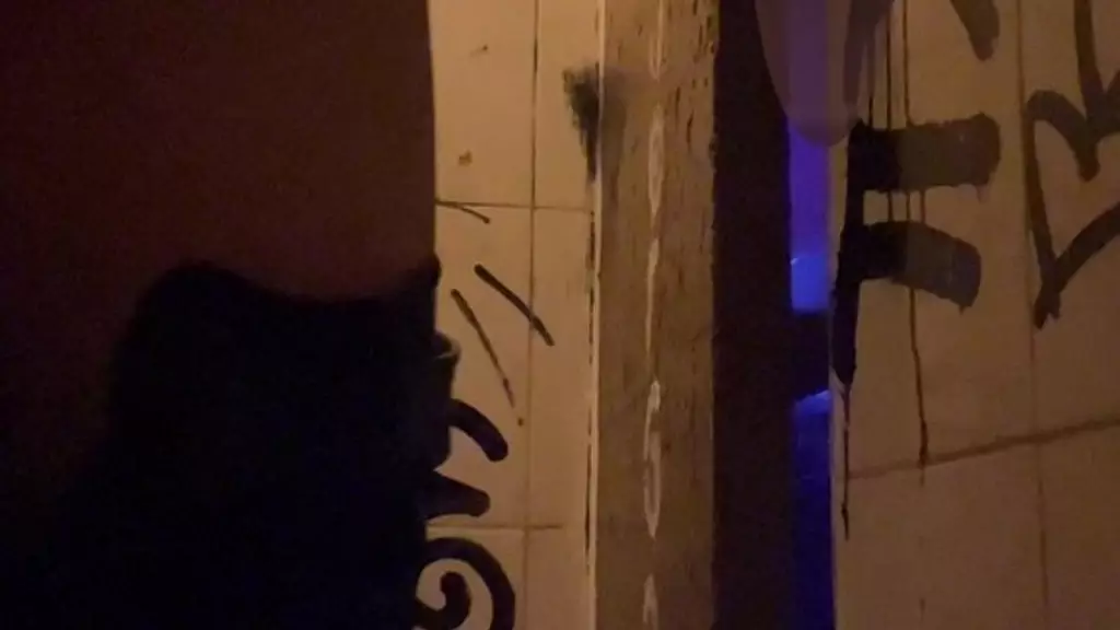 spied while pissing in the toilets of a bar...