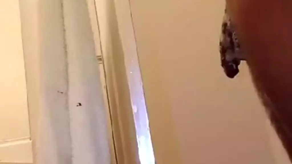 так чертовски мило