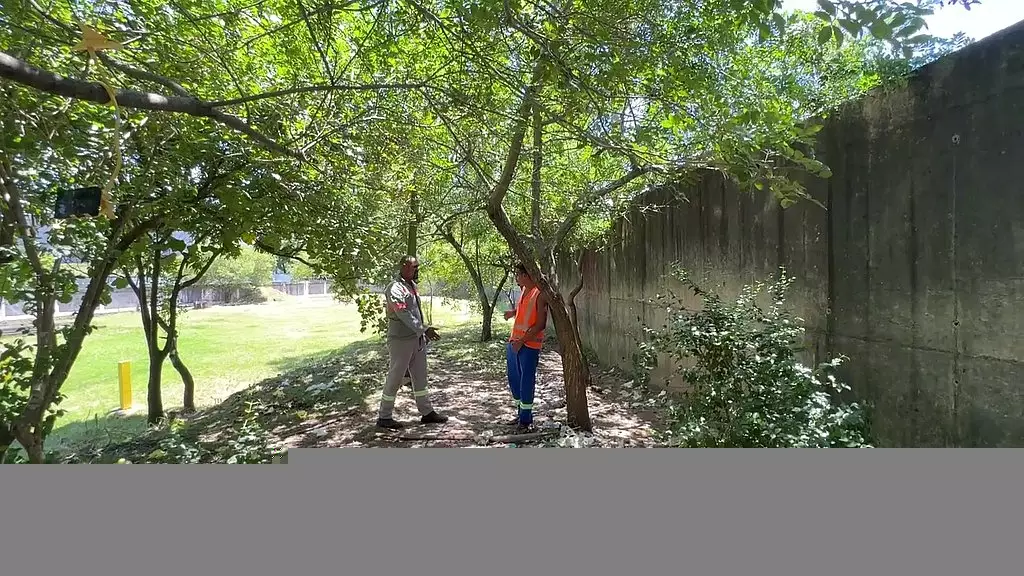 nodia do trabalhador doisoperariosfazendo uma putaria no parque atras do servico